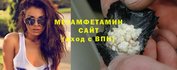 прущие грибы Чекалин