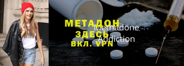 прущие грибы Чекалин