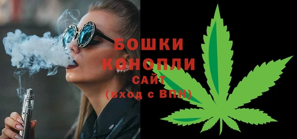 гидра Дмитриев