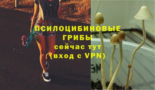 MDMA Дмитровск