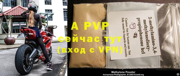 гидра Дмитриев