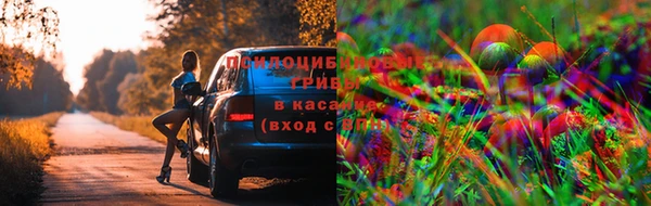 MDMA Дмитровск