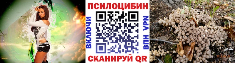 Псилоцибиновые грибы Magic Shrooms  купить  сайты  Ельня 